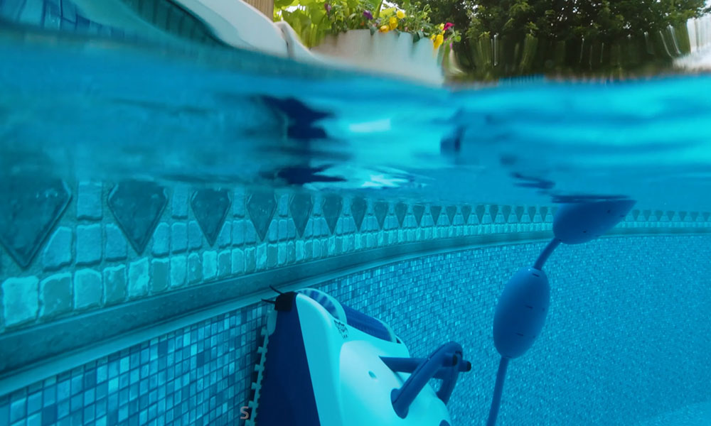 Dolphin Nautilus Pool Up Wall Climbing