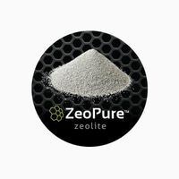 ZeoPure Zeolite Pool Media