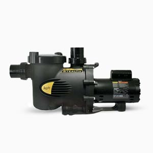 Jandy Pool Pumps (1)