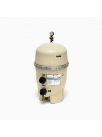 Pentair  Quad DE Filter 80 188593
