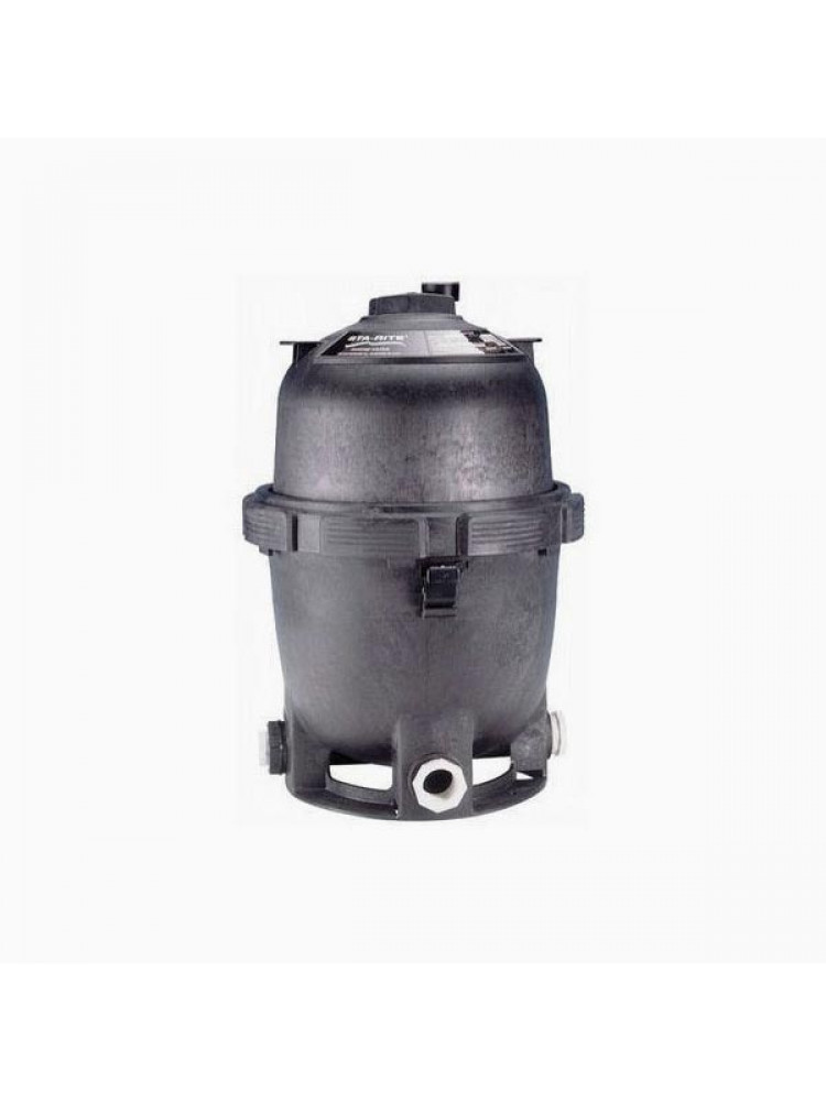 StaRite DE Filter 48 SF System 2 PLDE48