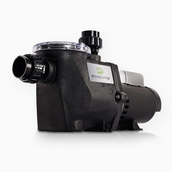 Pool Pump Motors